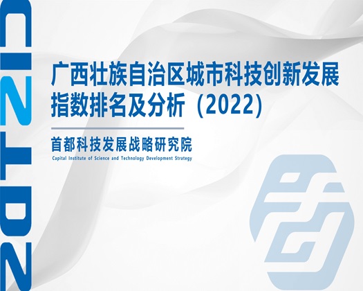 男的女的日逼视频网站【成果发布】广西壮族自治区城市科技创新发展指数排名及分析（2022）